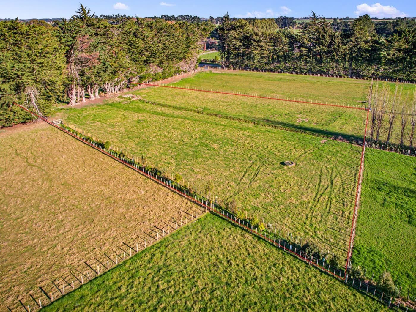 39 Grove Road, Ashhurst, Ashhurst — property for sale with Team Toner — photo 4