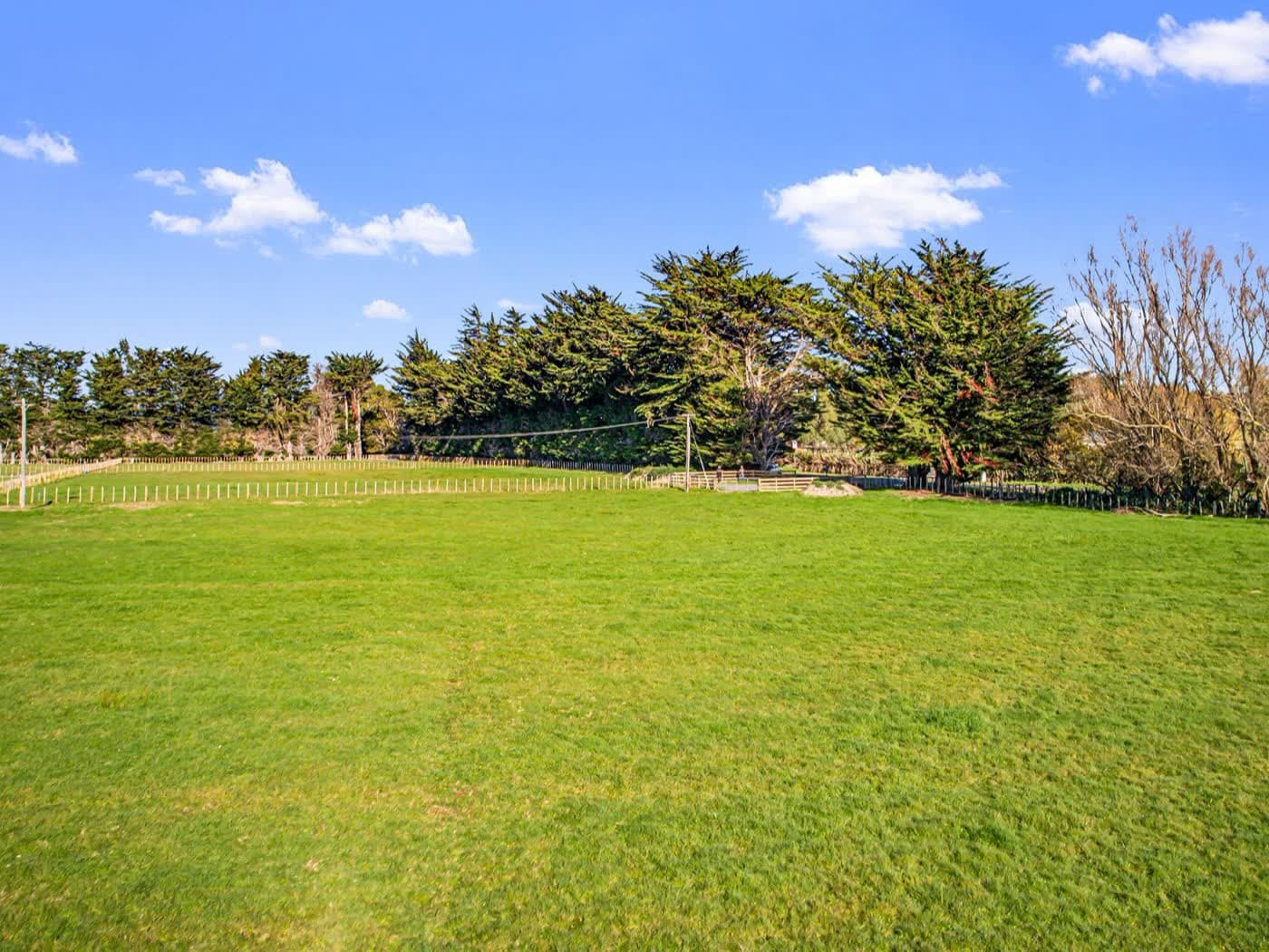 11 Grove Road, Ashhurst, Ashhurst — property for sale with Team Toner — photo 3