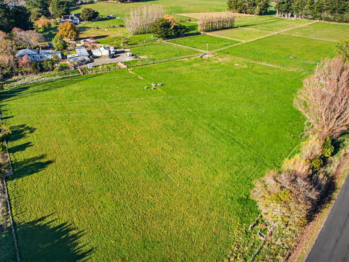 11 Grove Road, Ashhurst, Ashhurst — property for sale with Team Toner — photo 5