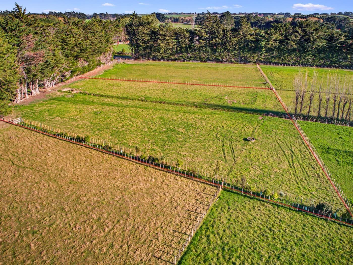 39 Grove Road, Ashhurst, Ashhurst — property for sale with Team Toner — photo 3