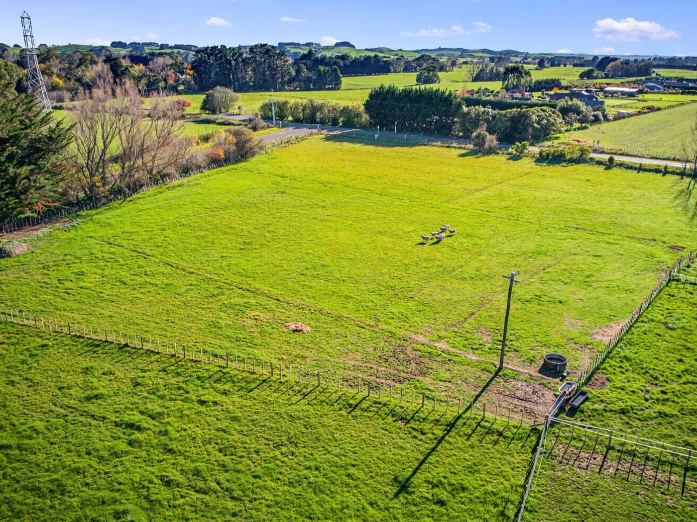 11 Grove Road, Ashhurst, Ashhurst — property for sale with Team Toner — photo 6