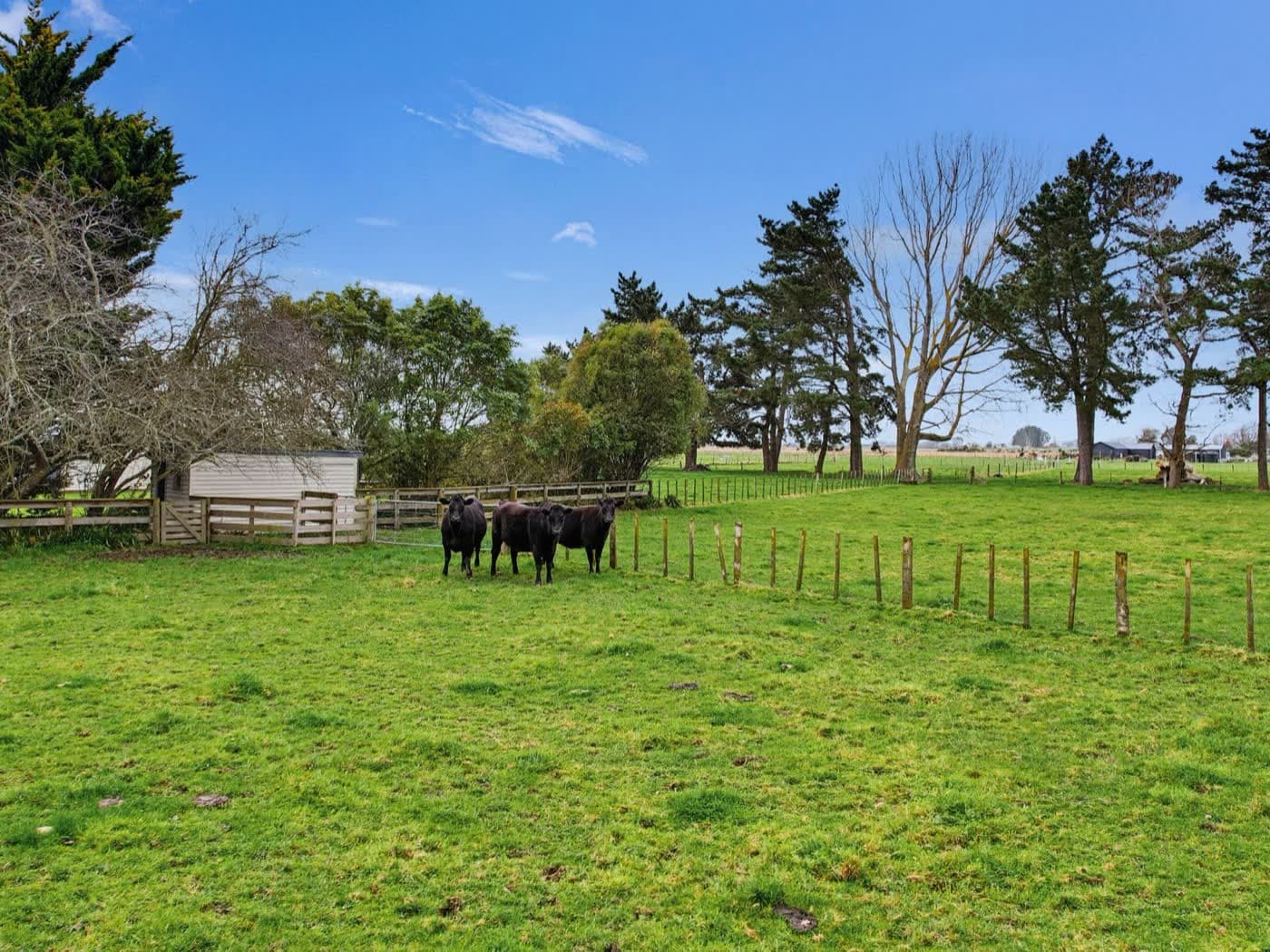 1354 Rangitikei Line, Newbury, Manawatū — 3 bedroom home for sale with Team Toner — photo 6